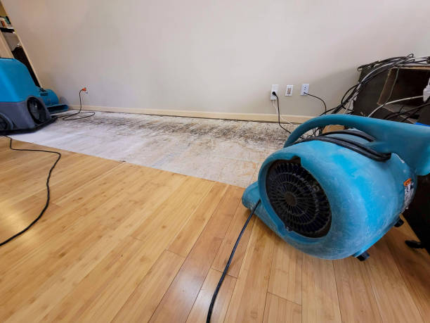 Professional Emergency Water Damage technician working in Dixfield, ME
